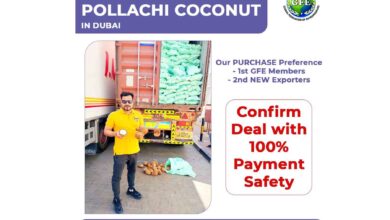 GFE launches an Export Business Outsourcing model to boost export opportunities in India