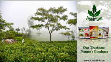 Remarkable perception-based venture – Havintha