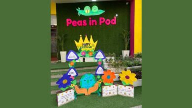 Peas in Pod Preschool Empowering Children with High-Quality Early Learning and Nurturing Care