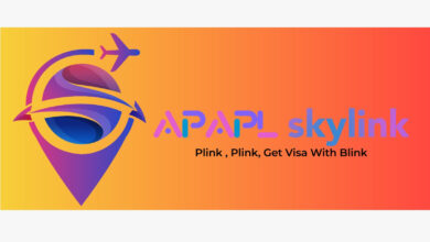 Next-Level Visa Solutions APAPLskylink Redefines the Application